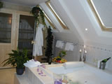 Penthouse Bathroom