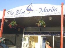 Photo of Blue Marlin